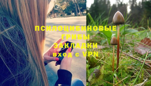 а пвп мука Арсеньев