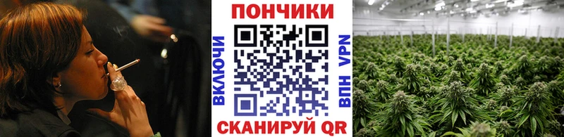 Каннабис White Widow Пущино
