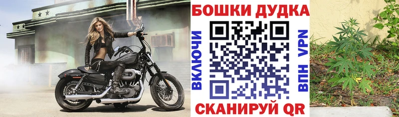 Бошки Шишки VHQ Пущино